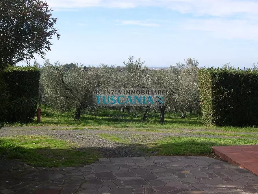 Immagine 4 di Villa in vendita  a Casale Marittimo