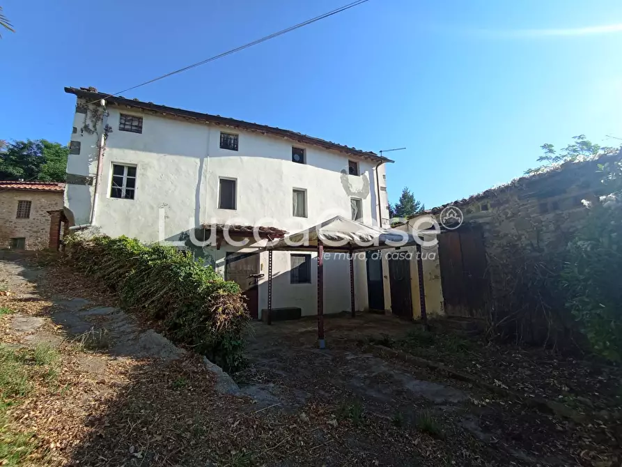 Immagine 6 di Casa colonica in vendita  a Camaiore