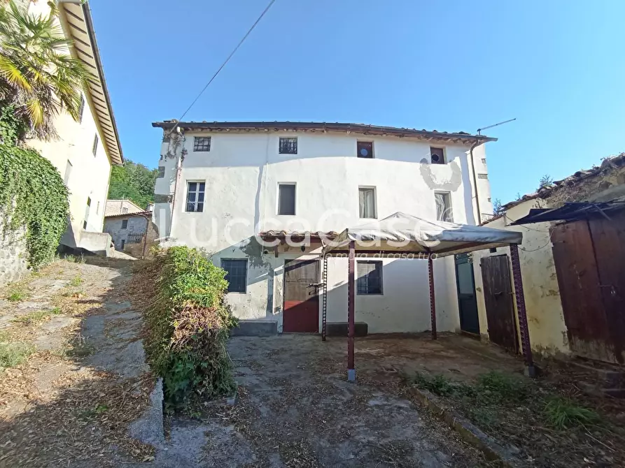 Immagine 5 di Casa colonica in vendita  a Camaiore