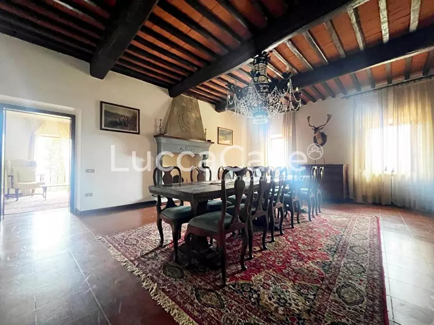 Immagine 53 di Casa colonica in vendita  a Camaiore