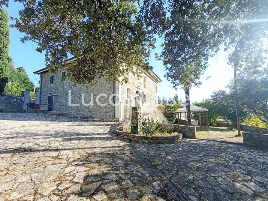 Immagine 9 di Casa colonica in vendita  a Camaiore