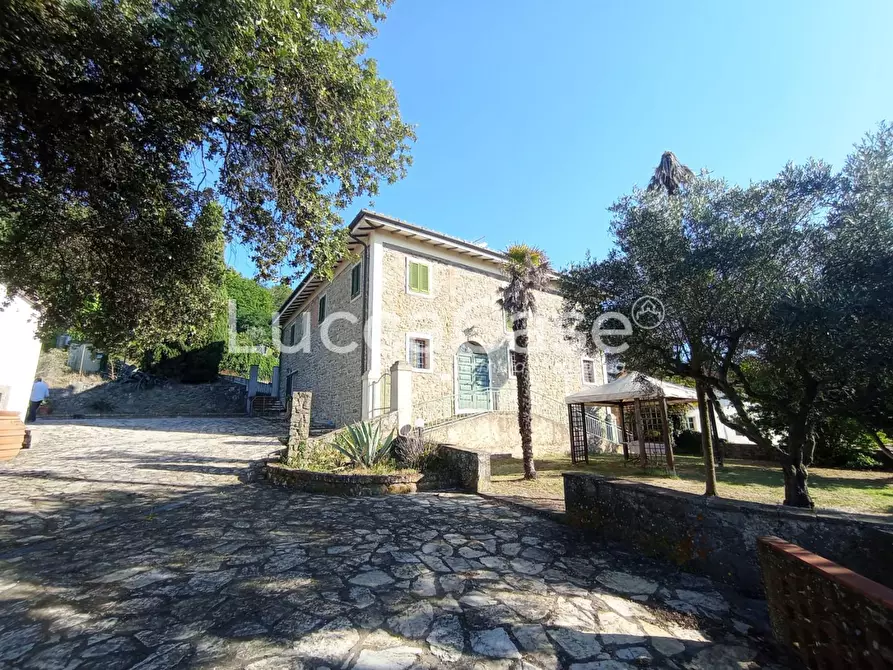 Immagine 8 di Casa colonica in vendita  a Camaiore