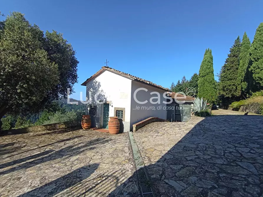 Immagine 13 di Casa colonica in vendita  a Camaiore