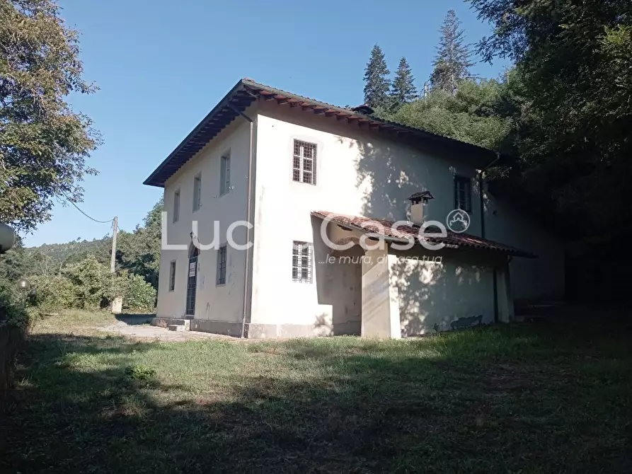 Immagine 2 di Casa colonica in vendita  a Camaiore