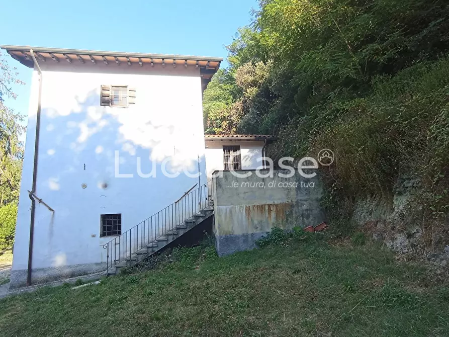 Immagine 5 di Casa colonica in vendita  a Camaiore