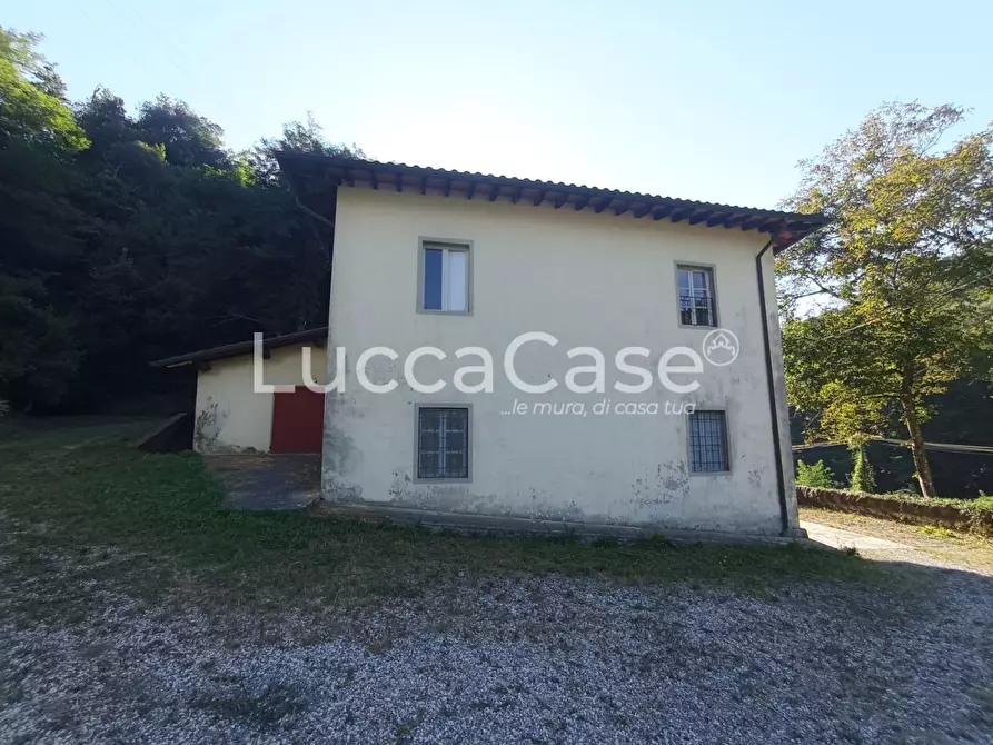 Immagine 2 di Casa colonica in vendita  a Camaiore