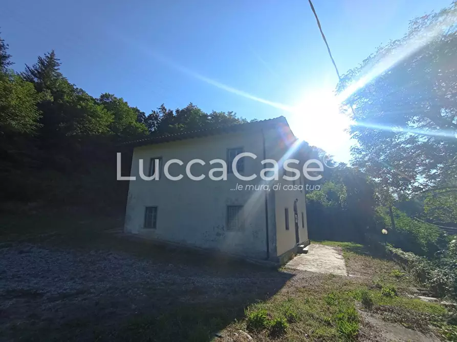 Immagine 3 di Casa colonica in vendita  a Camaiore