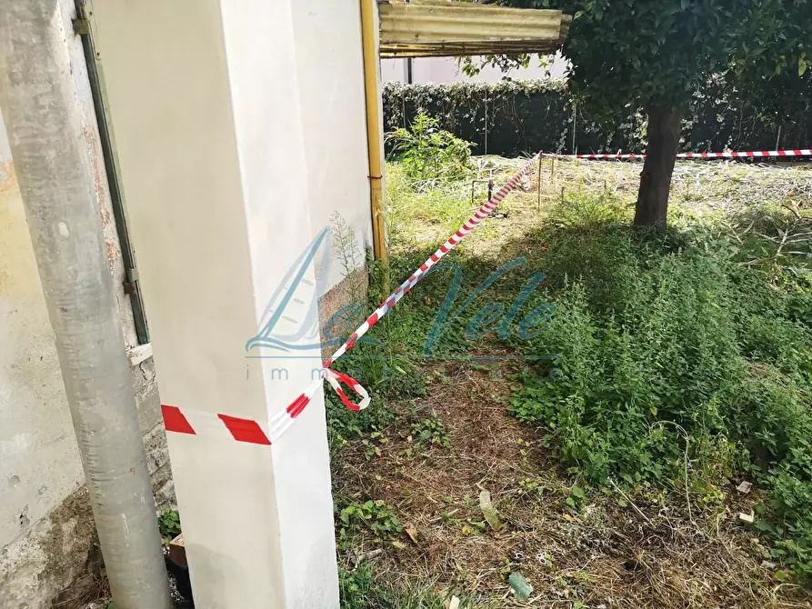 Immagine 37 di Terratetto in vendita  a Massa