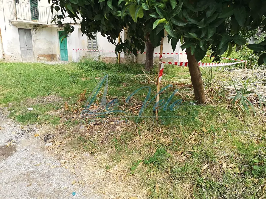 Immagine 36 di Terratetto in vendita  a Massa