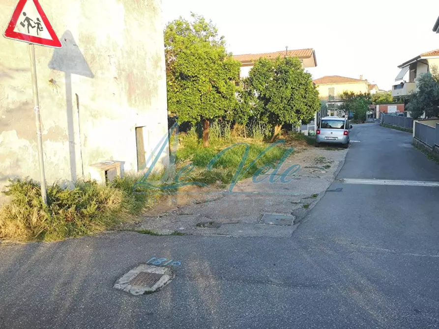 Immagine 11 di Terratetto in vendita  a Massa