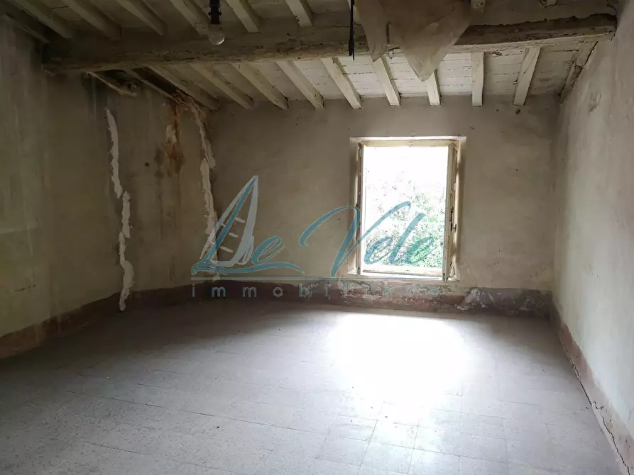 Immagine 19 di Terratetto in vendita  a Massa