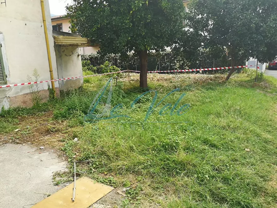 Immagine 34 di Terratetto in vendita  a Massa