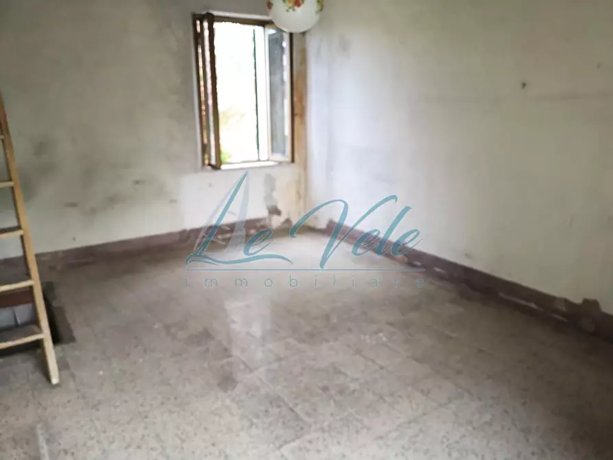 Immagine 14 di Terratetto in vendita  a Massa