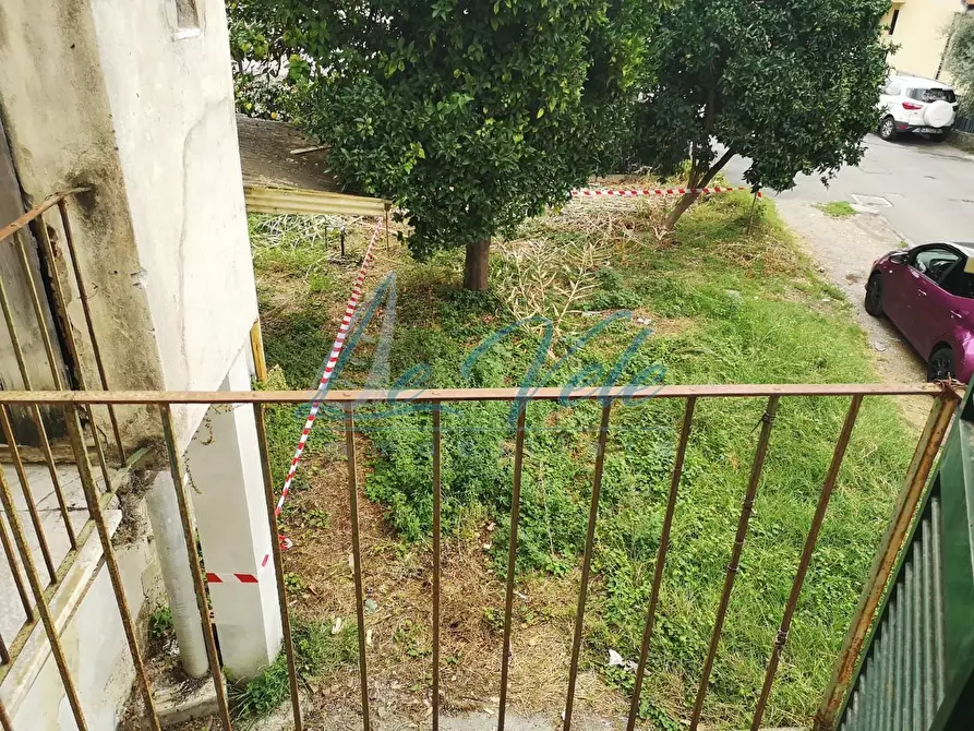 Immagine 17 di Terratetto in vendita  a Massa