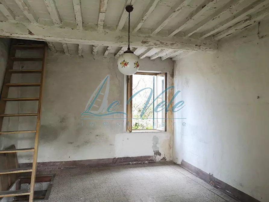 Immagine 15 di Terratetto in vendita  a Massa