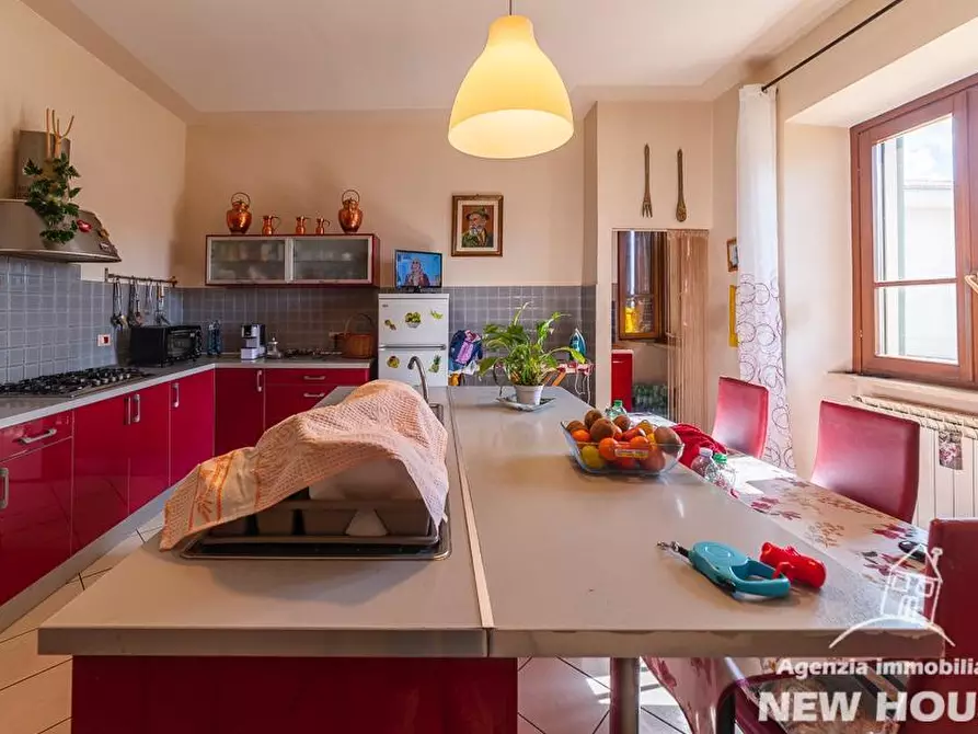 Immagine 14 di Terratetto in vendita  a Vecchiano