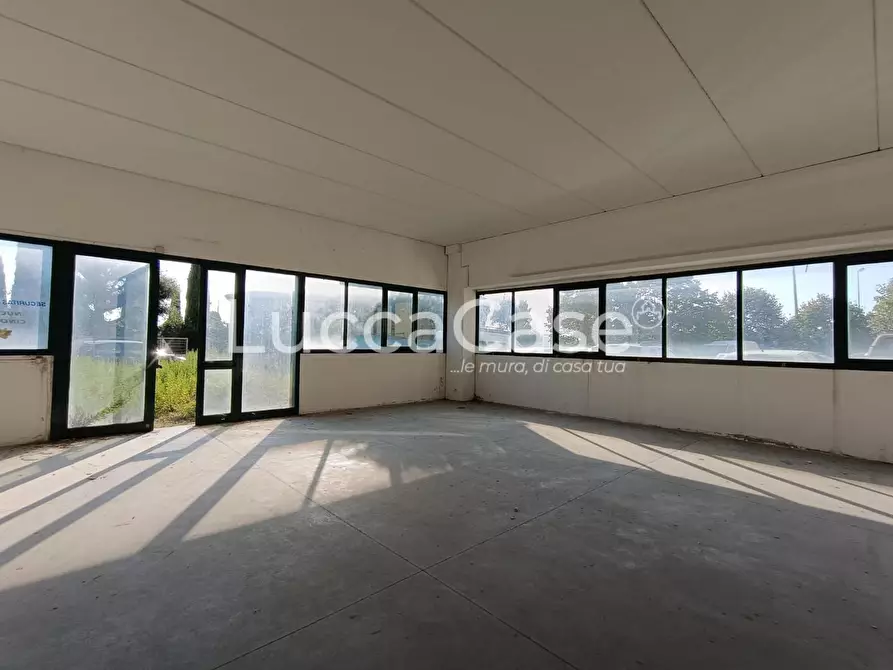 Immagine 2 di Attività artigianale in affitto  a Vicopisano