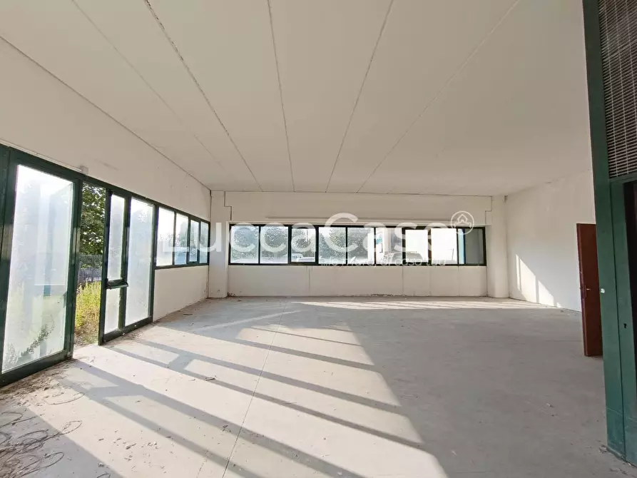 Immagine 4 di Attività artigianale in affitto  a Vicopisano