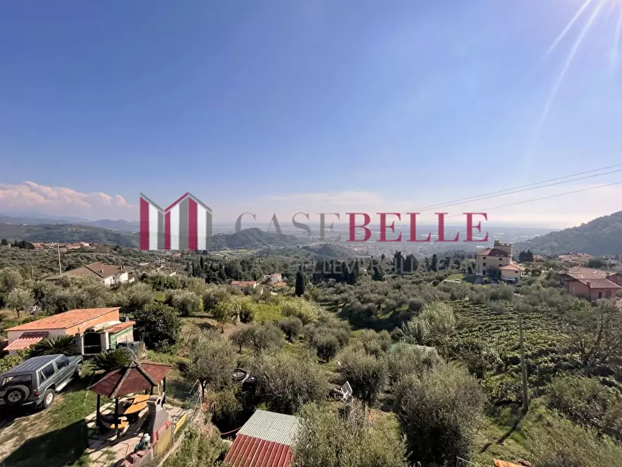 Immagine 17 di Appartamento in vendita  a Massarosa