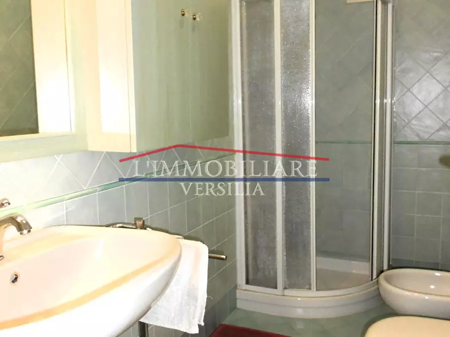 Immagine 46 di Villa in vendita  a Seravezza