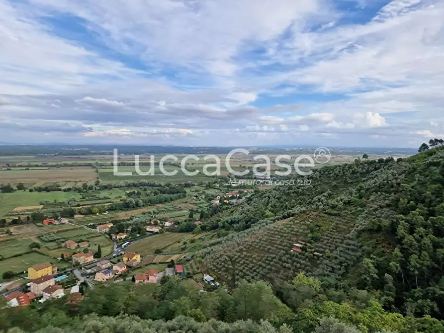 Immagine 7 di Terratetto in vendita  a Capannori