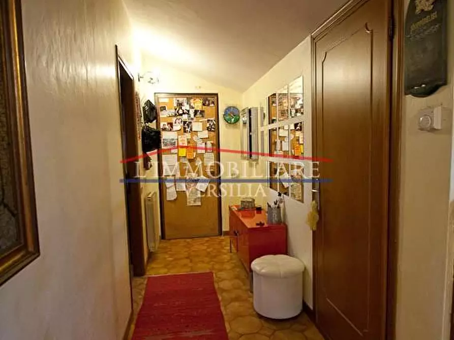 Immagine 7 di Appartamento in vendita  a Seravezza