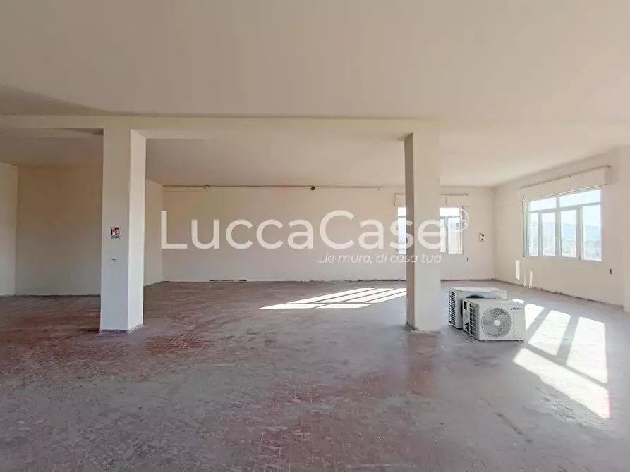 Immagine 6 di Laboratorio in affitto  a Montecarlo