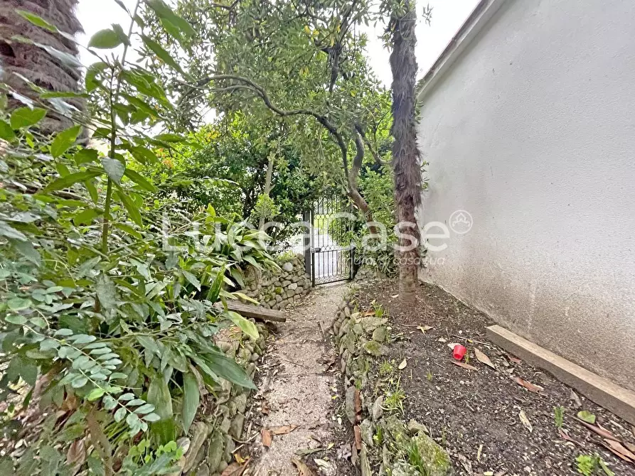 Immagine 53 di Villa in vendita  a Lucca