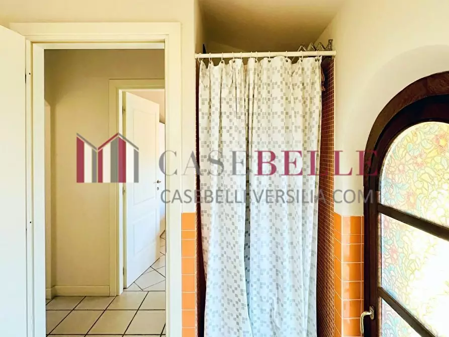 Immagine 18 di Mansarda in vendita  a Camaiore