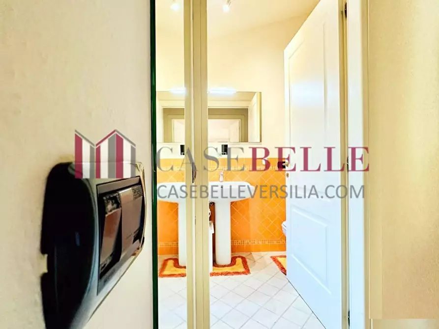 Immagine 16 di Mansarda in vendita  a Camaiore