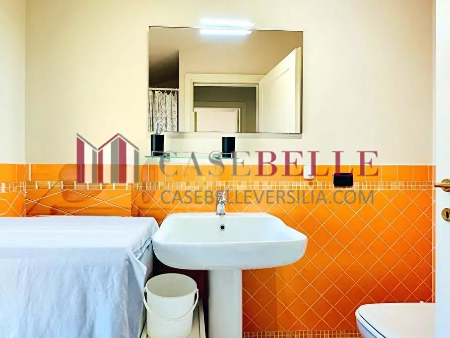 Immagine 17 di Mansarda in vendita  a Camaiore