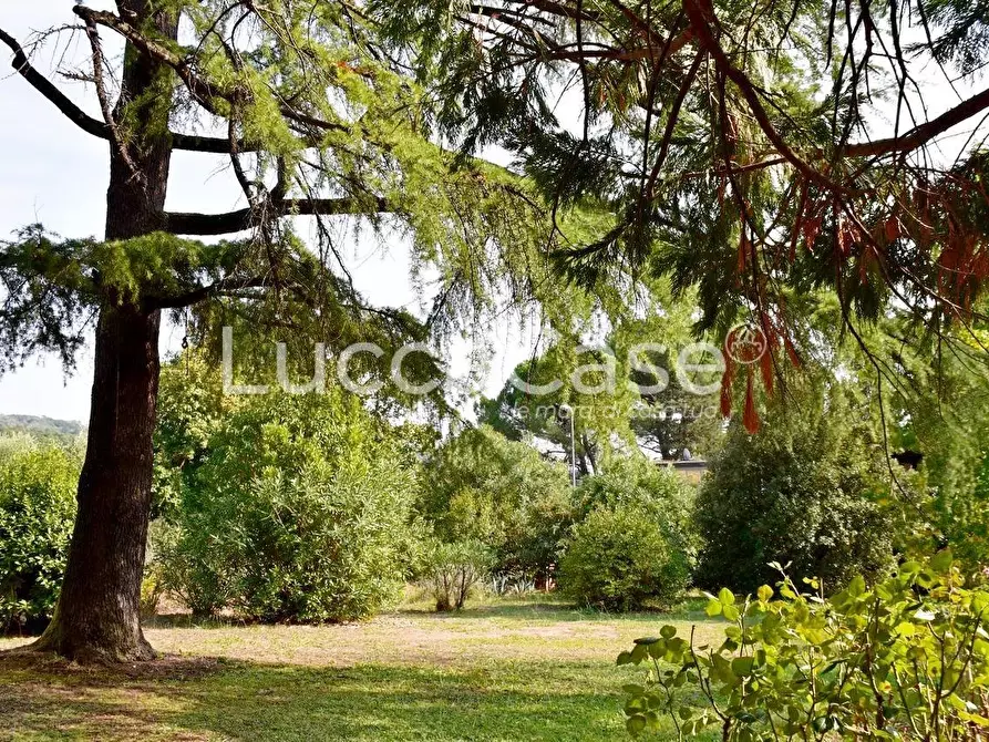 Immagine 22 di Villa in vendita  a Capannori