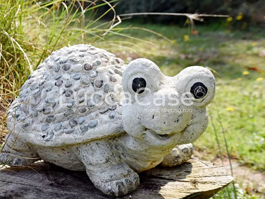 Immagine 37 di Villa in vendita  a Capannori