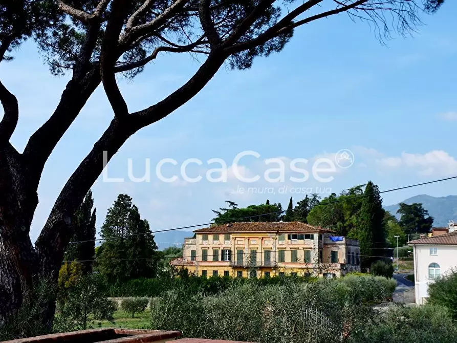 Immagine 27 di Villa in vendita  a Capannori