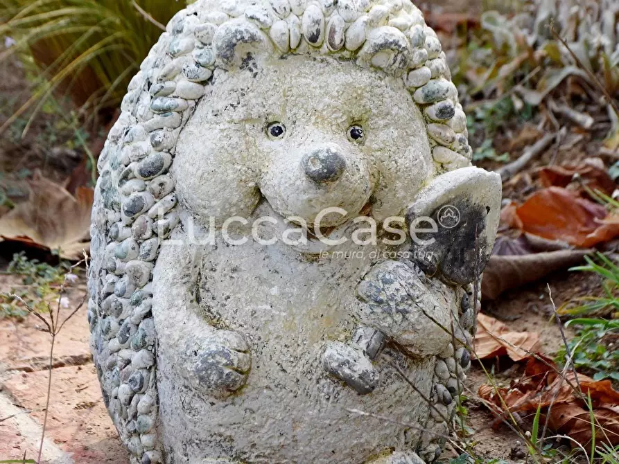 Immagine 41 di Villa in vendita  a Capannori