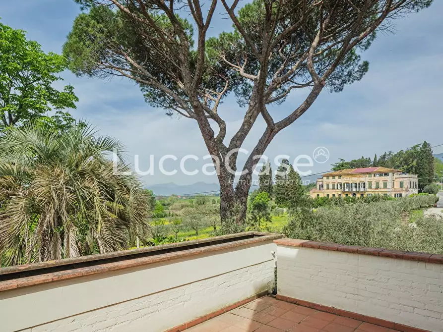 Immagine 24 di Villa in vendita  a Capannori