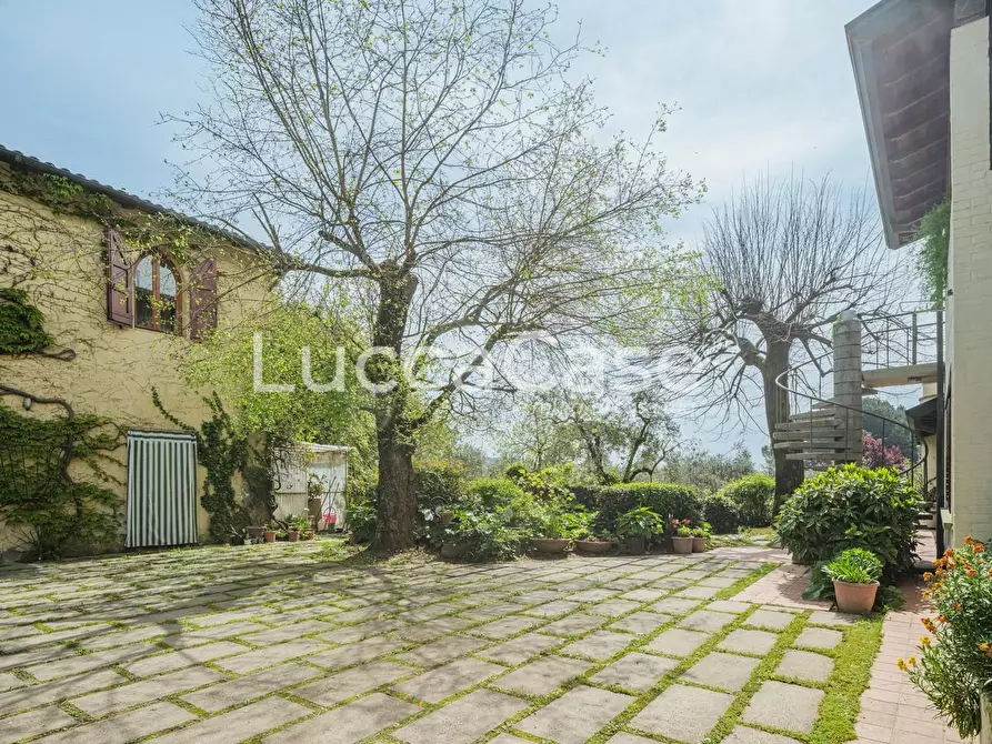 Immagine 45 di Villa in vendita  a Capannori