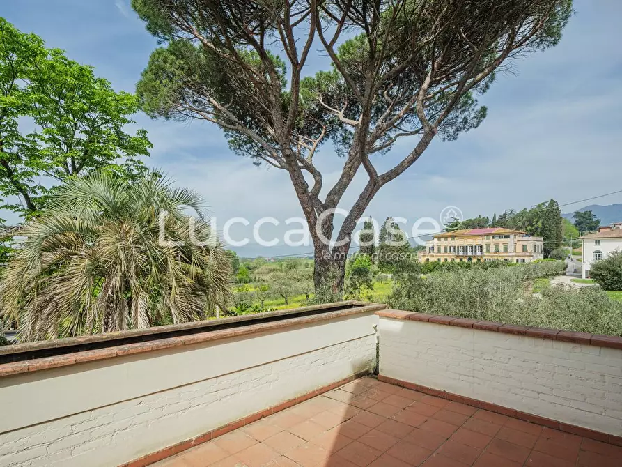 Immagine 26 di Villa in vendita  a Capannori