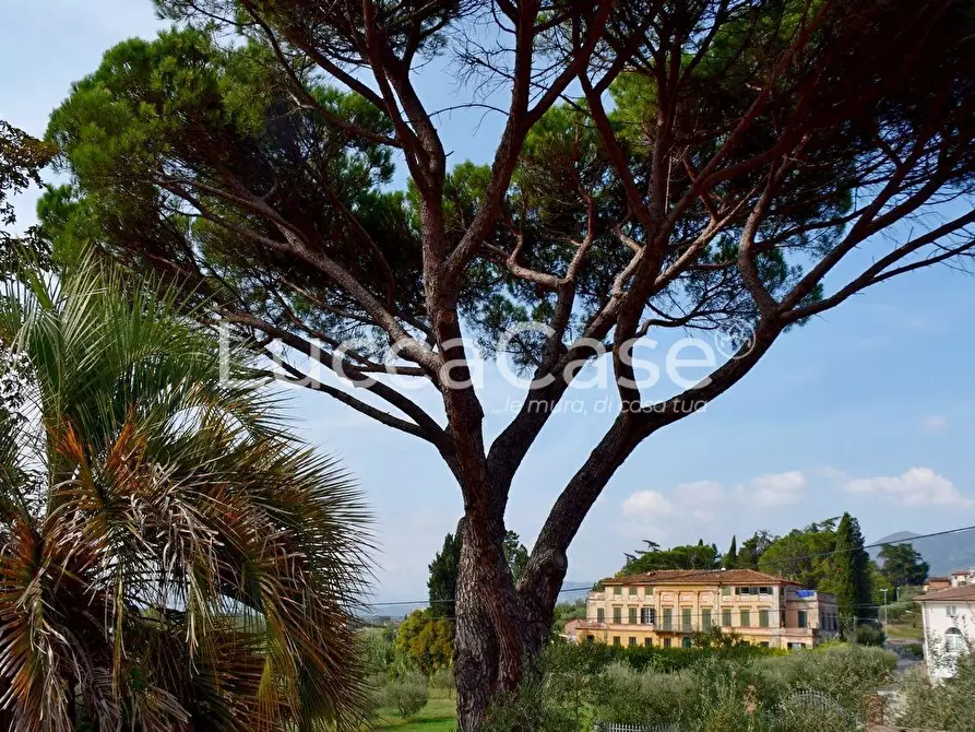 Immagine 25 di Villa in vendita  a Capannori