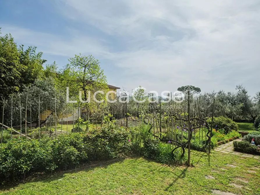 Immagine 42 di Villa in vendita  a Capannori