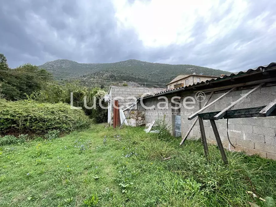 Immagine 13 di Rustico / casale in vendita  a Lucca