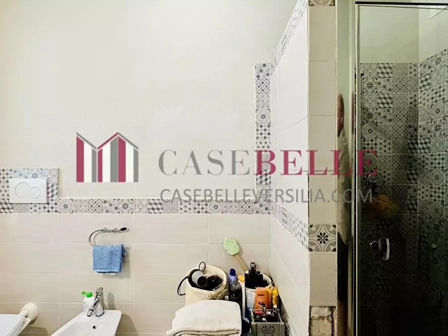 Immagine 15 di Casa indipendente in vendita  a Pietrasanta