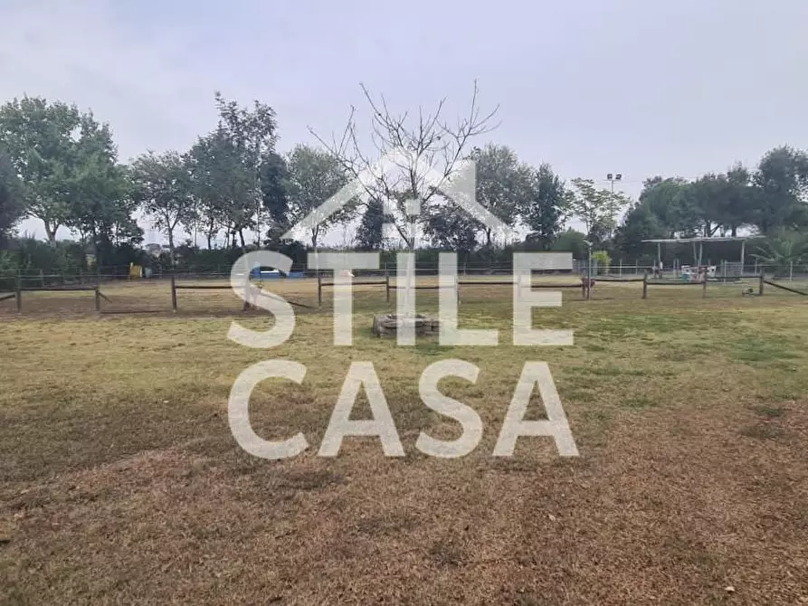 Immagine 12 di Terreno agricolo in vendita  a Castelfranco Di Sotto