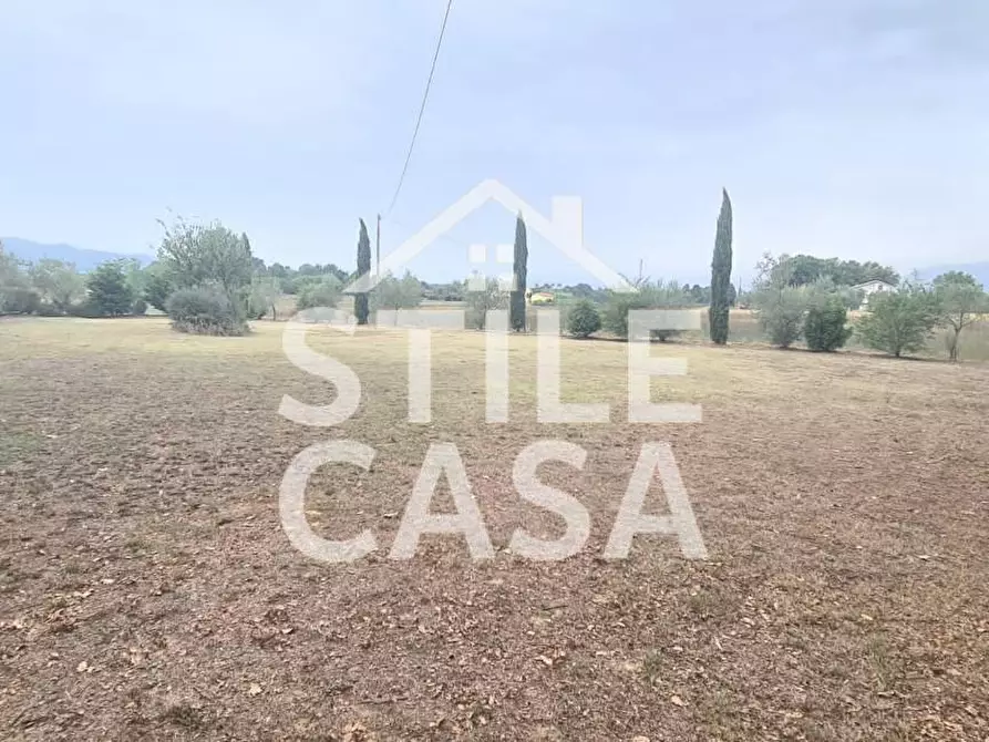 Immagine 1 di Terreno agricolo in vendita  a Castelfranco Di Sotto