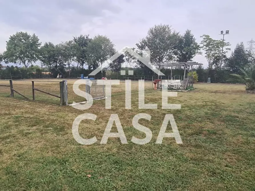 Immagine 3 di Terreno agricolo in vendita  a Castelfranco Di Sotto