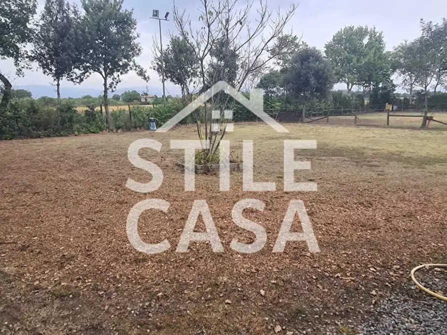 Immagine 11 di Terreno agricolo in vendita  a Castelfranco Di Sotto