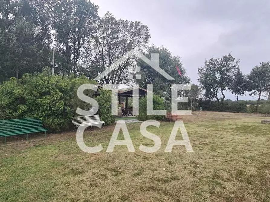 Immagine 7 di Terreno agricolo in vendita  a Castelfranco Di Sotto