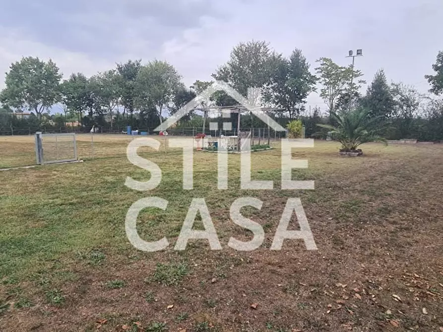 Immagine 6 di Terreno agricolo in vendita  a Castelfranco Di Sotto