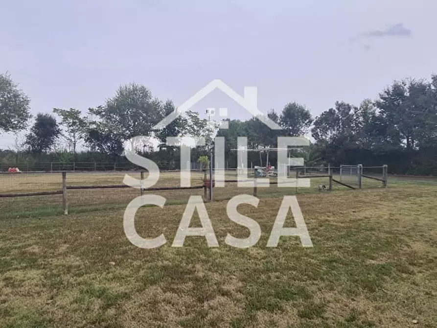 Immagine 2 di Terreno agricolo in vendita  a Castelfranco Di Sotto