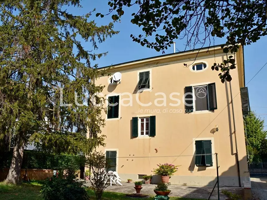 casa indipendente in vendita a Capannori in zona Carraia